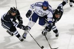 开云体育官网-从布鲁诺的爆发到阿森纳的收割，阿尔及利亚足球的荣耀与挑战