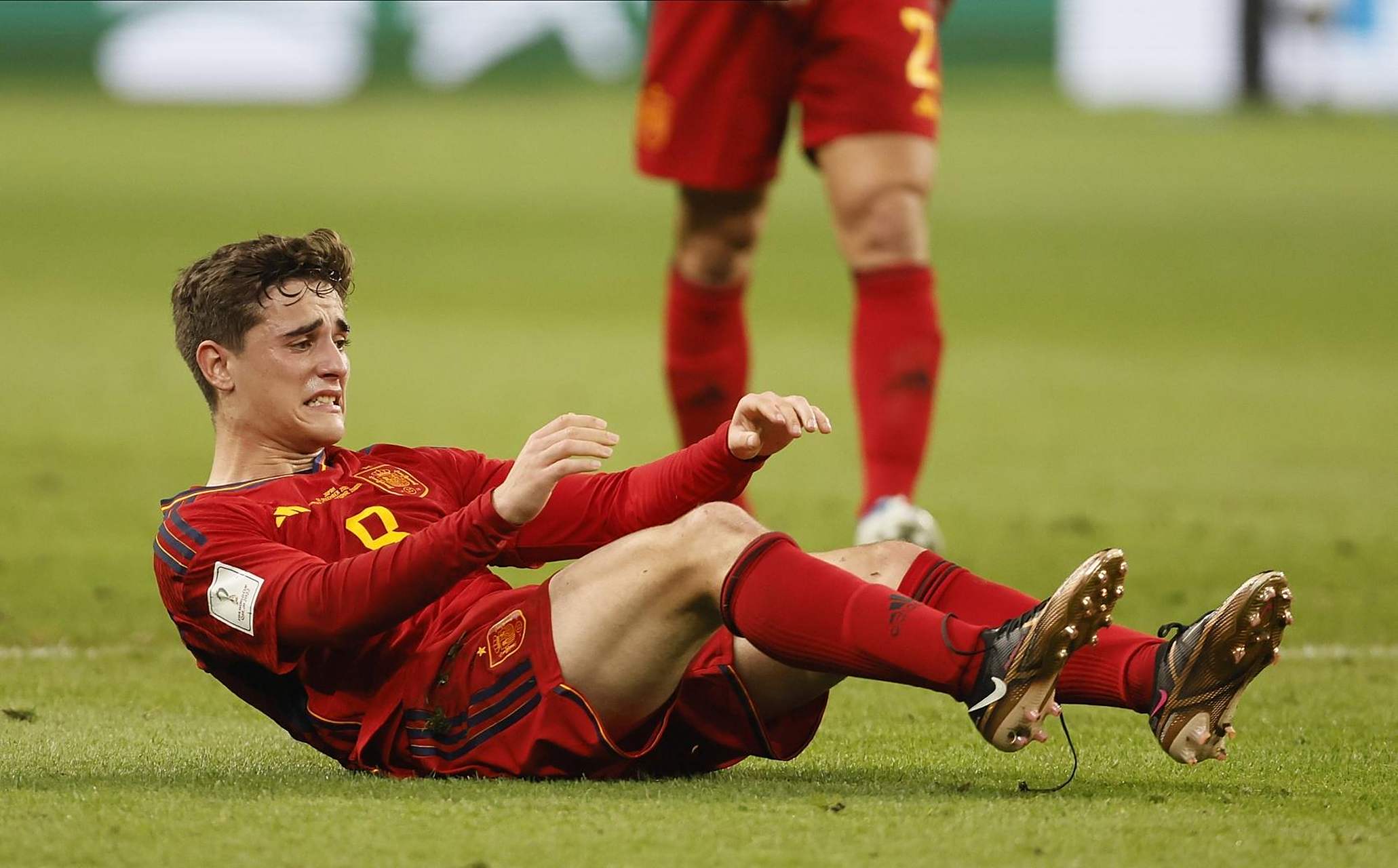 包含欧洲国家队展现出色状态，备战大赛的词条