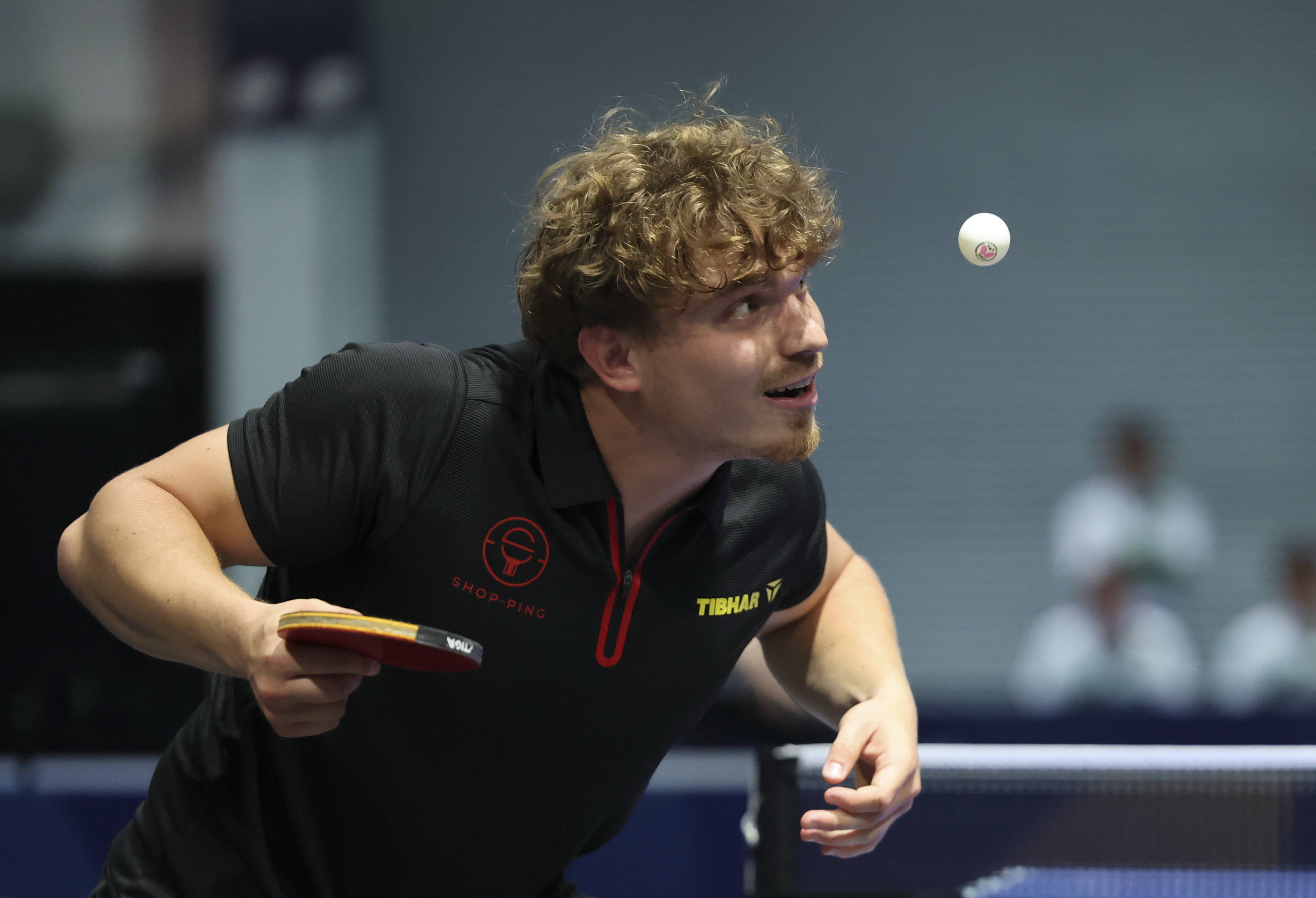 比利时乒乓球队绝地反击瑞典乒乓球队，波尔惊艳世界的简单介绍