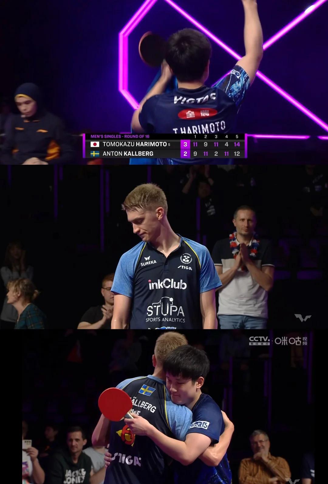 关于葡萄牙队力克波兰队，张本智和状态火热的信息