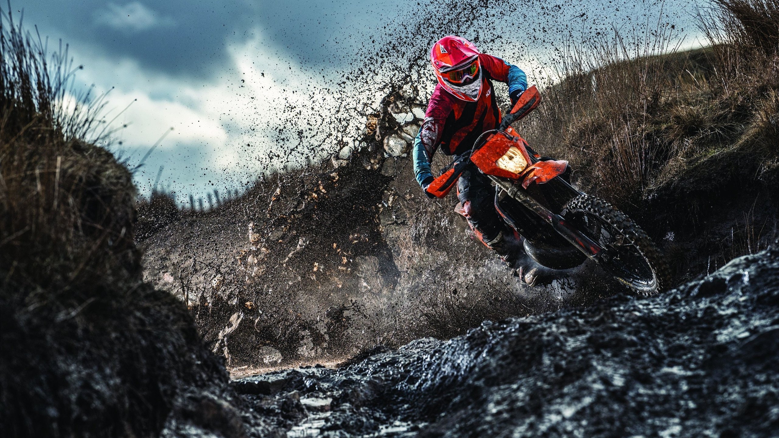 绝境逆袭，灰熊翻盘雷霆，字母哥完美发挥诠释领袖真义