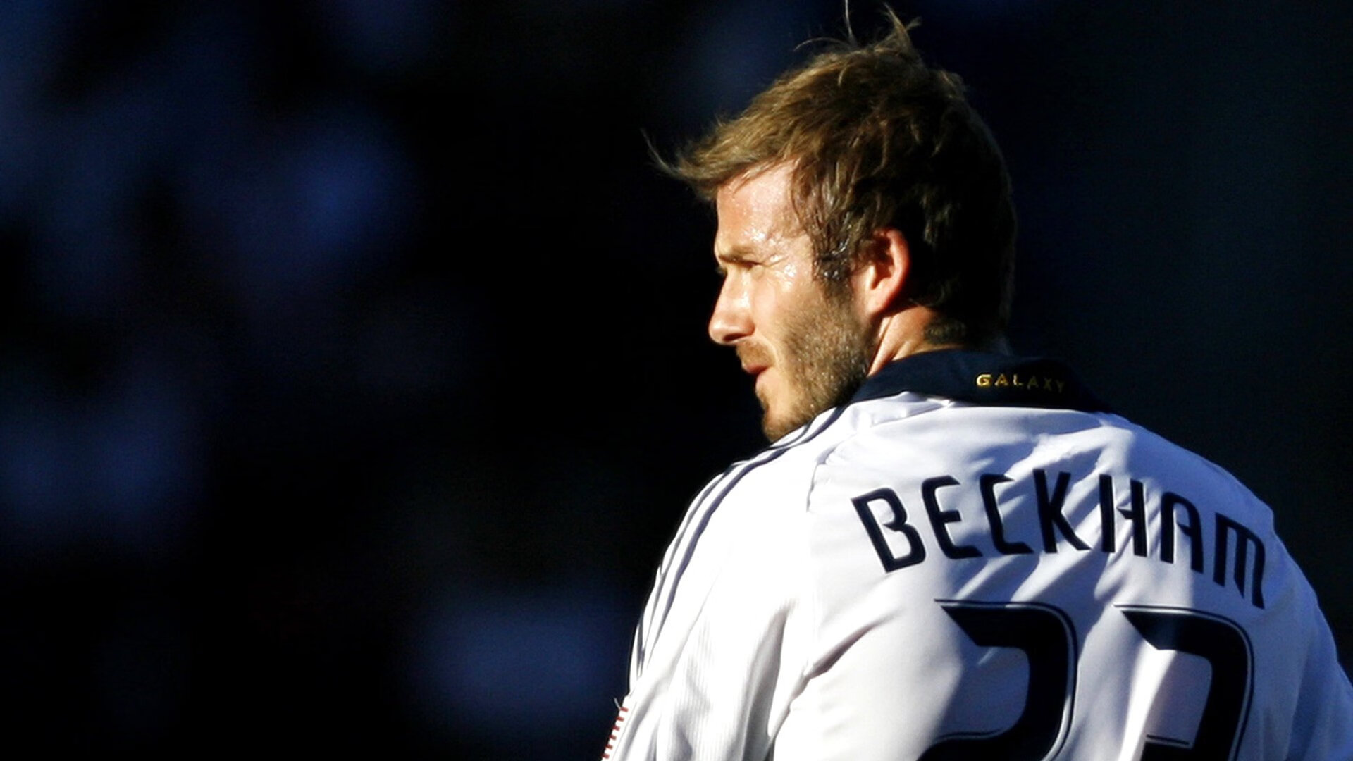 北境新王加冕，武切维奇东决封神，辽宁队带走国王启示录