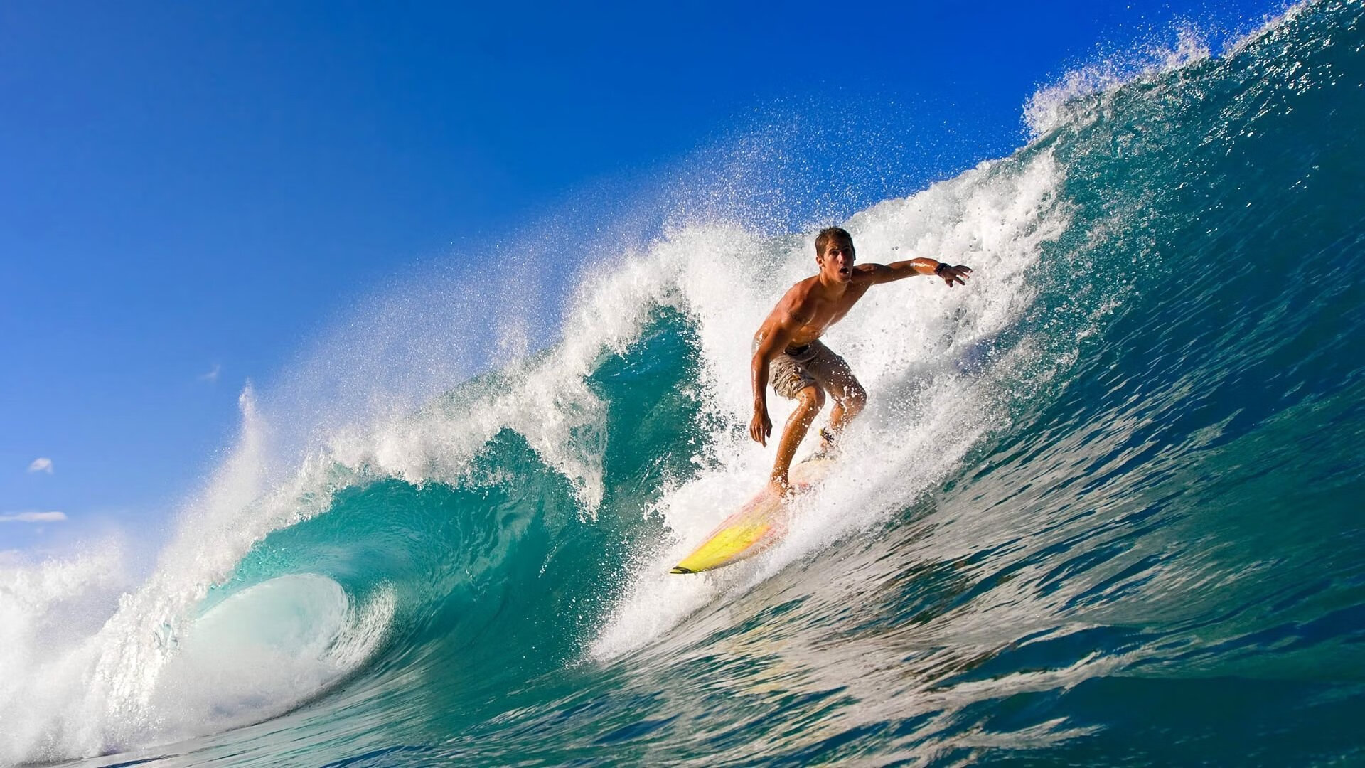 从蒙特卡洛红土到戴维斯杯战场，蒂姆的双线鏖战与惊艳蜕变